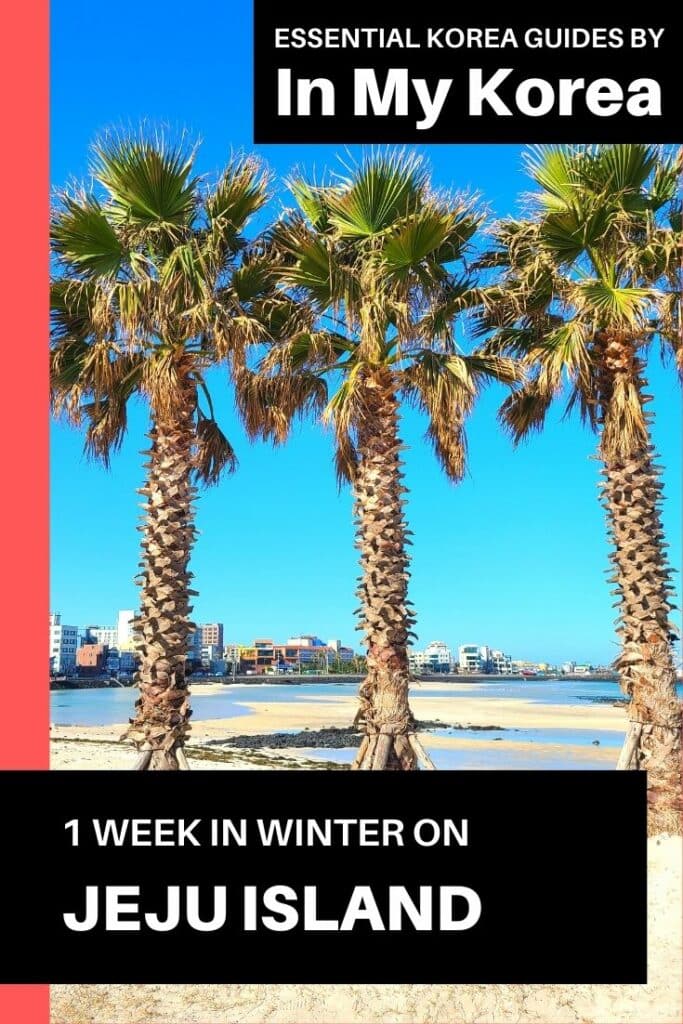 What To Do On Jeju Island In Winter: Jeju Winter Itinerary 2024 31 1 Week On Jeju Island in Winter Pin 2