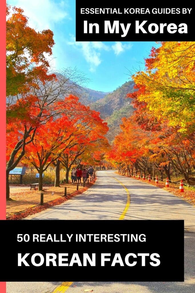 50 Amazing South Korean Culture Facts You'll Love 2024 25 50 Amazing South Korean Culture Facts Pin 1