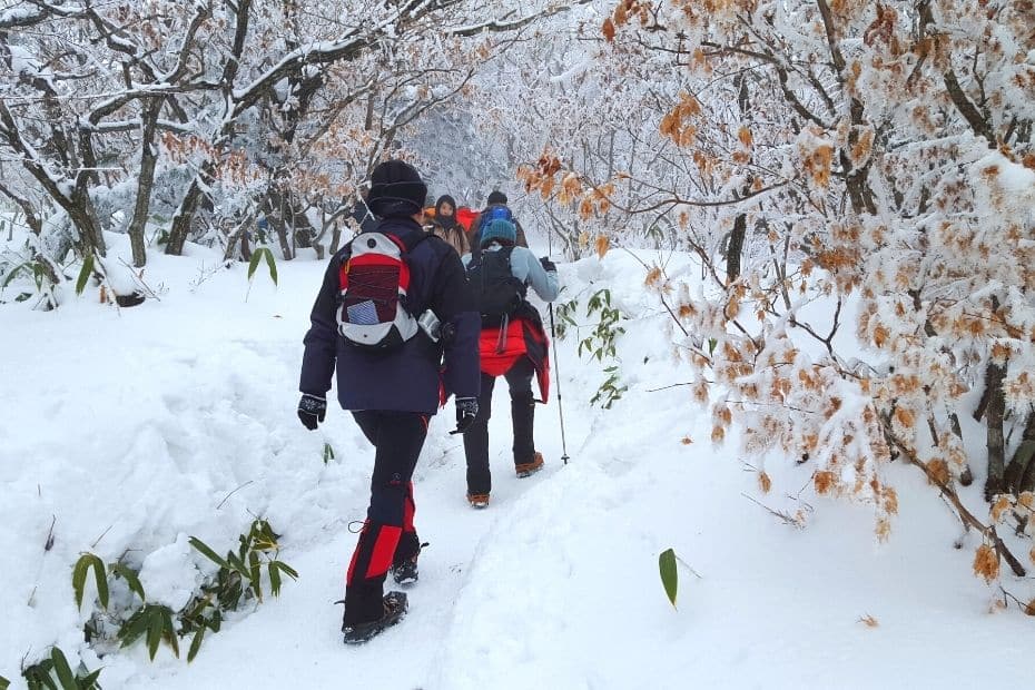 Where Does It Snow In Korea? Snow In Seoul And Korea 2024 32 Where does it snow in Korea 23