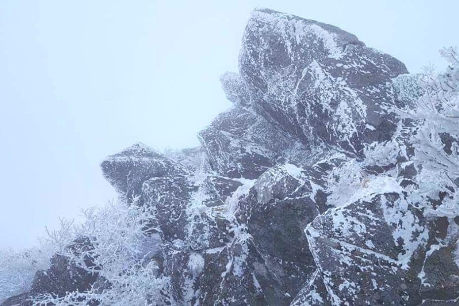 Where Does It Snow In Korea? Snow In Seoul And Korea 2024 34 Where does it snow in Korea 25