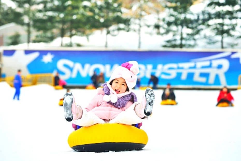 Where Does It Snow In Korea? Snow In Seoul And Korea 2024 18 Where does it snow in Korea 4