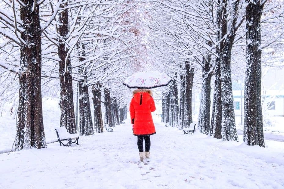 Where Does It Snow In Korea? Snow In Seoul And Korea 2024 19 Where to see snow in Korea 5