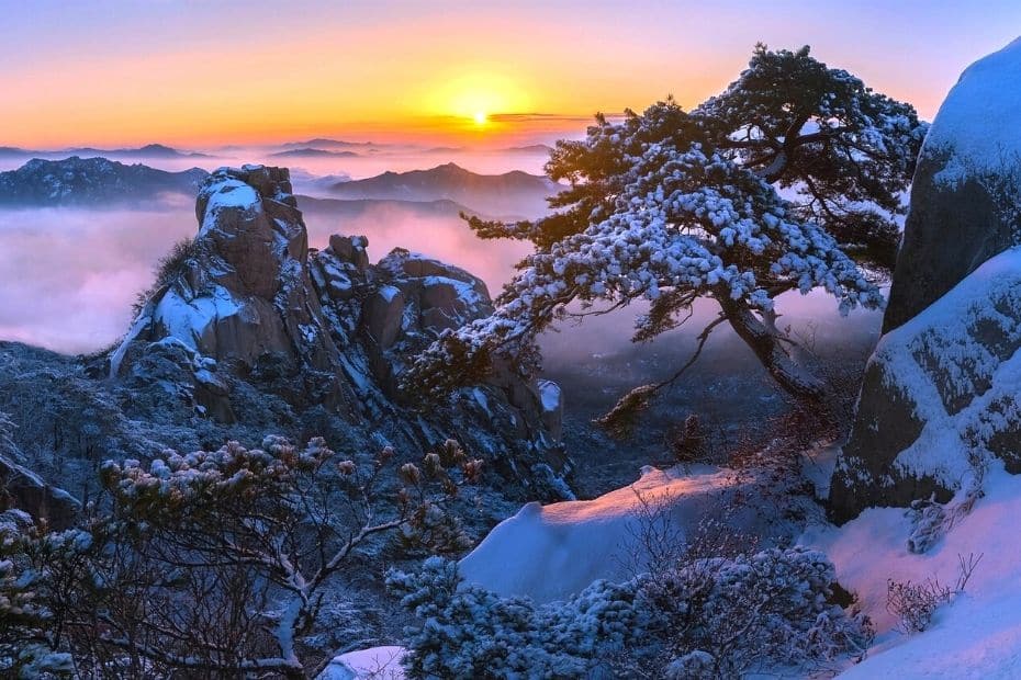 Where Does It Snow In Korea? Snow In Seoul And Korea 2024 6 Where to see snow in Korea 3