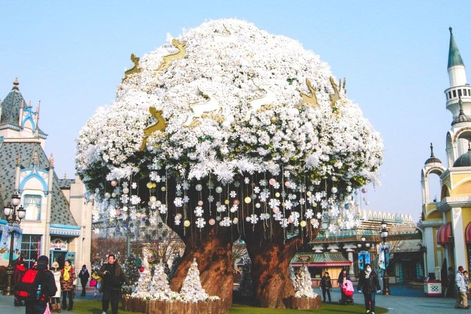 Where Does It Snow In Korea? Snow In Seoul And Korea 2024 27 Where does it snow in Korea 17