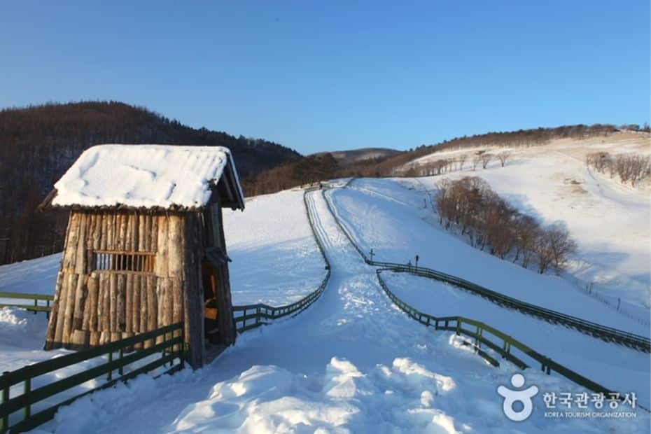 Where Does It Snow In Korea? Snow In Seoul And Korea 2024 21 Where does it snow in Korea 7