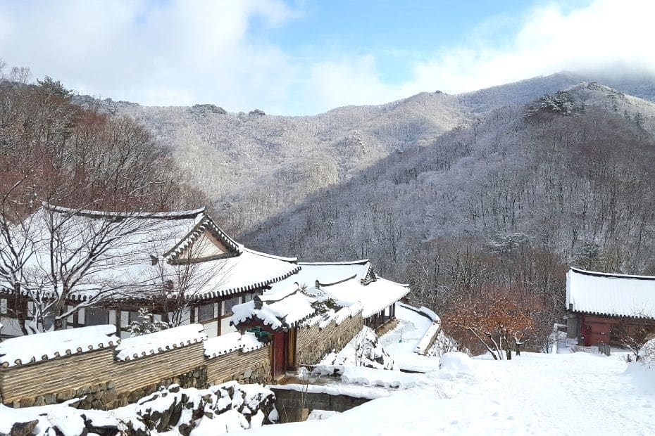 Where Does It Snow In Korea? Snow In Seoul And Korea 2024 33 Where does it snow in Korea 24