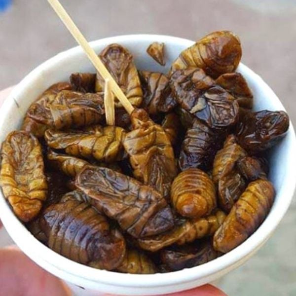 Weird Korean Foods: 15 Unique Korean Dishes You Might Love 7 A cup of beondegi Korean street food