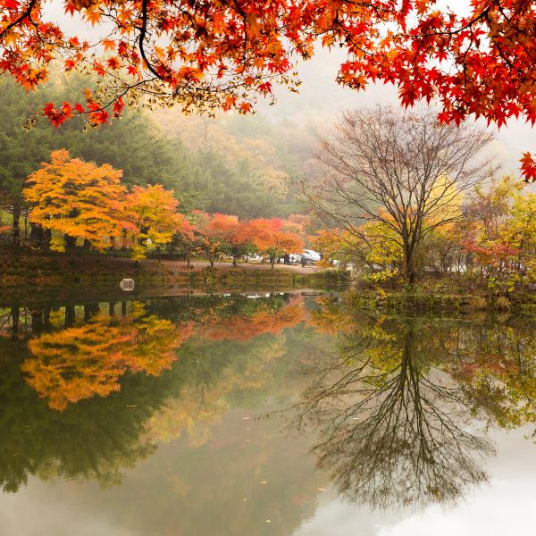 Autumn foliage at Seonunsa Temple Dosolcheon Stream Autumn foliage at Seonunsa Temple Dosolcheon Stream