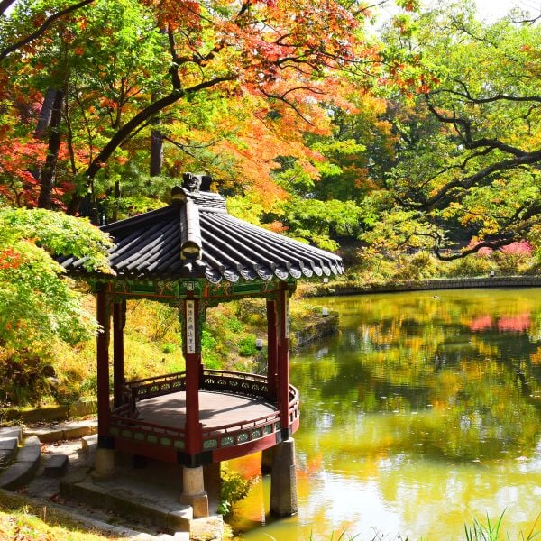 A Weekend In Seoul: Perfect Two Day Itinerary For Seoul 2024 6 Autumn Foliage At Seouls Secret Garden
