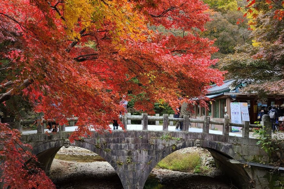 10 Best National Parks In Korea To Visit For Beautiful Views 5 Autumn foliage in a Korean national park