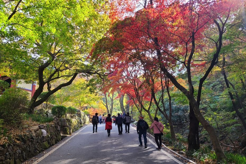 Hiking Seoraksan National Park And How To Get There 2024 42 Autumn foliage in Korea (1)