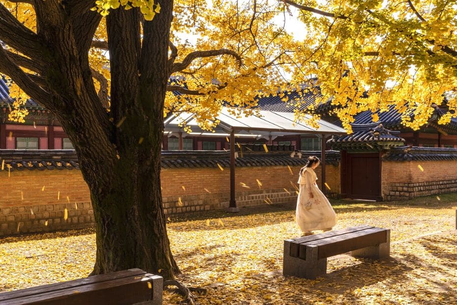 20 Cool Summer Activities In Korea: Korean Summer 2024 30 Autumn Foliage In Korea