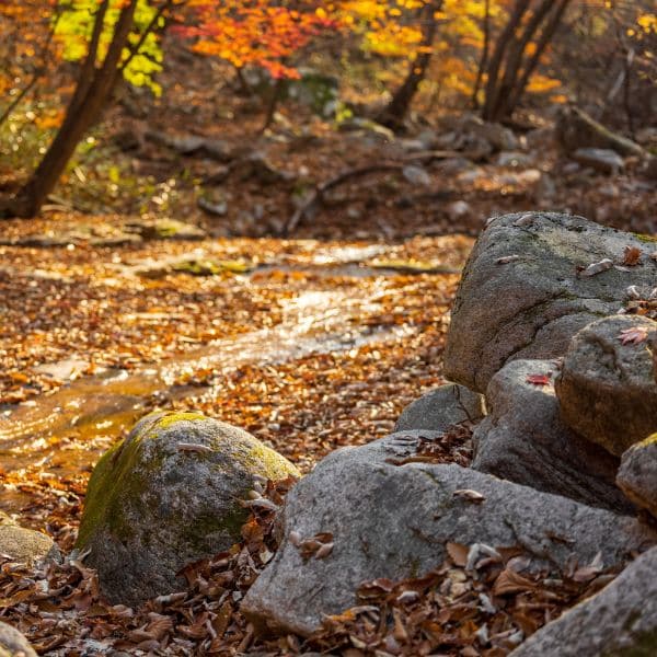 Hiking Seoraksan National Park And How To Get There 2024 21 Autumn foliage on a hiking trail
