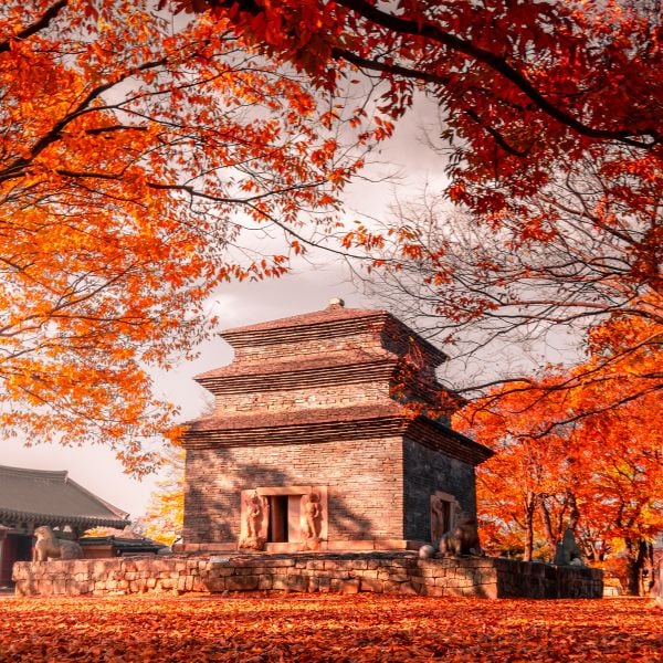 Autumn leaves at Bunhwangsa Temple Gyeongju Autumn leaves at Bunhwangsa Temple Gyeongju