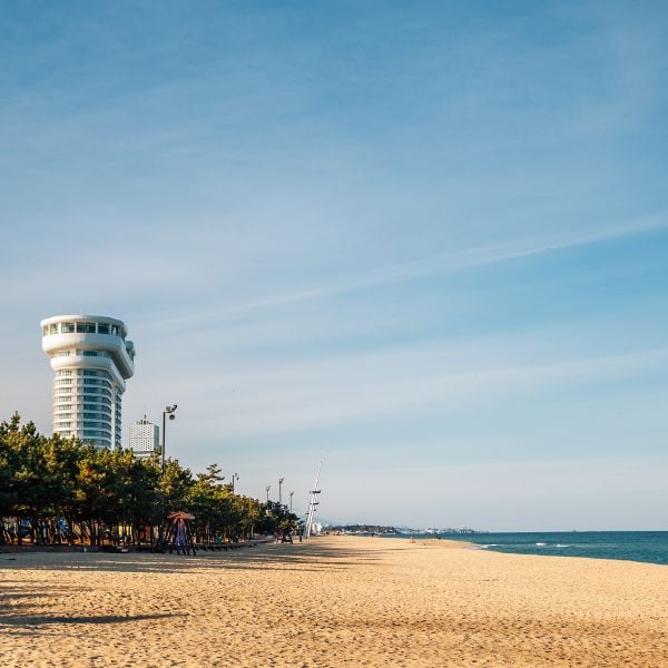 Complete South Korea Travel Guide 2024: Korean Travel Tips 65 Beach in Gangneung Korea