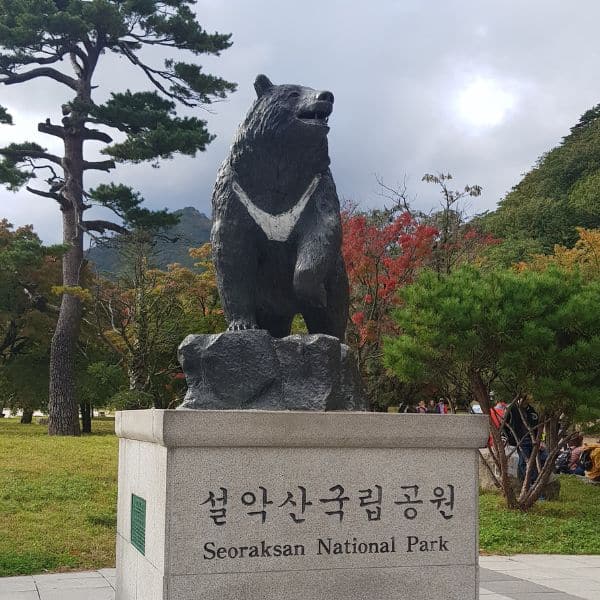 Complete South Korea Travel Guide 2024: Korean Travel Tips 88 Bear statue at Seoraksan National Park Korea