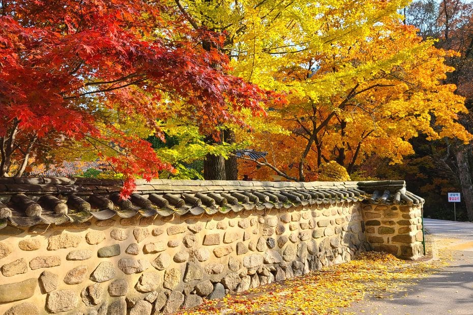 Korea In October 2024: Best Festivals, Events, And Sights 4 Beautiful Autumn Leaves In Korea In October