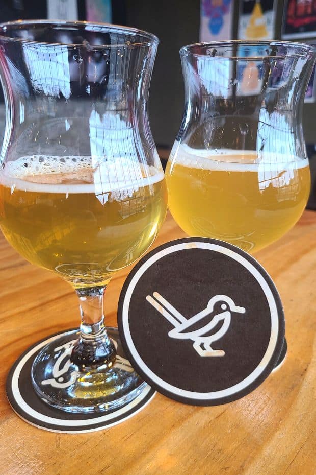 What To Do On Jeju Island In Winter: Jeju Winter Itinerary 2024 5 Beers From Magpie Brewery on Jeju Island