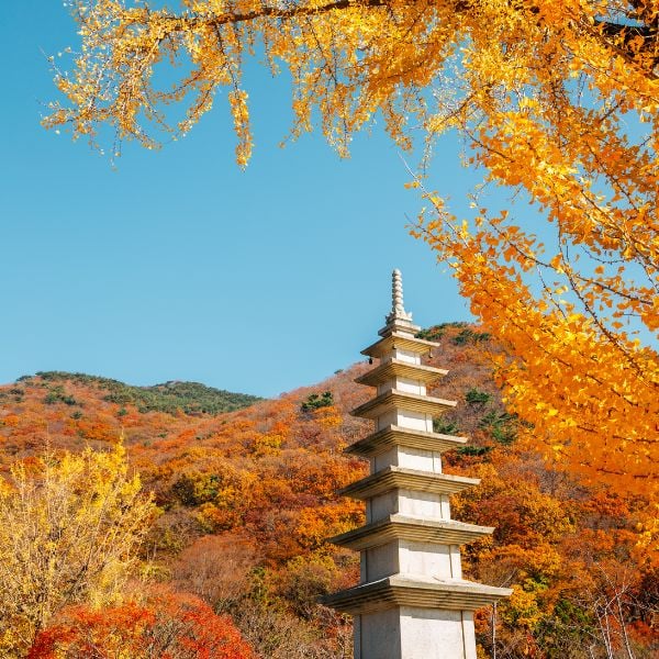 Beomeosa Temple Busan in Autumn Beomeosa Temple Busan in Autumn
