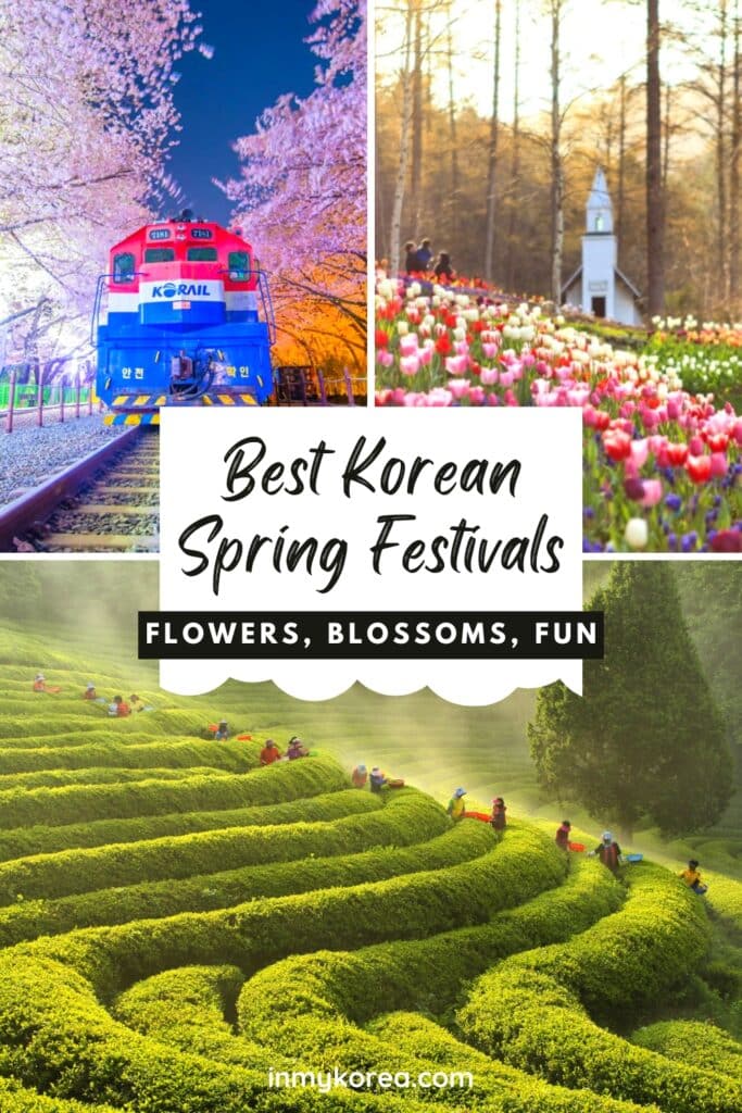 Best Korean Spring Festivals 2024: Nature, Culture, Blossoms 46 Best Korean Spring Festivals To Visit Pin 1