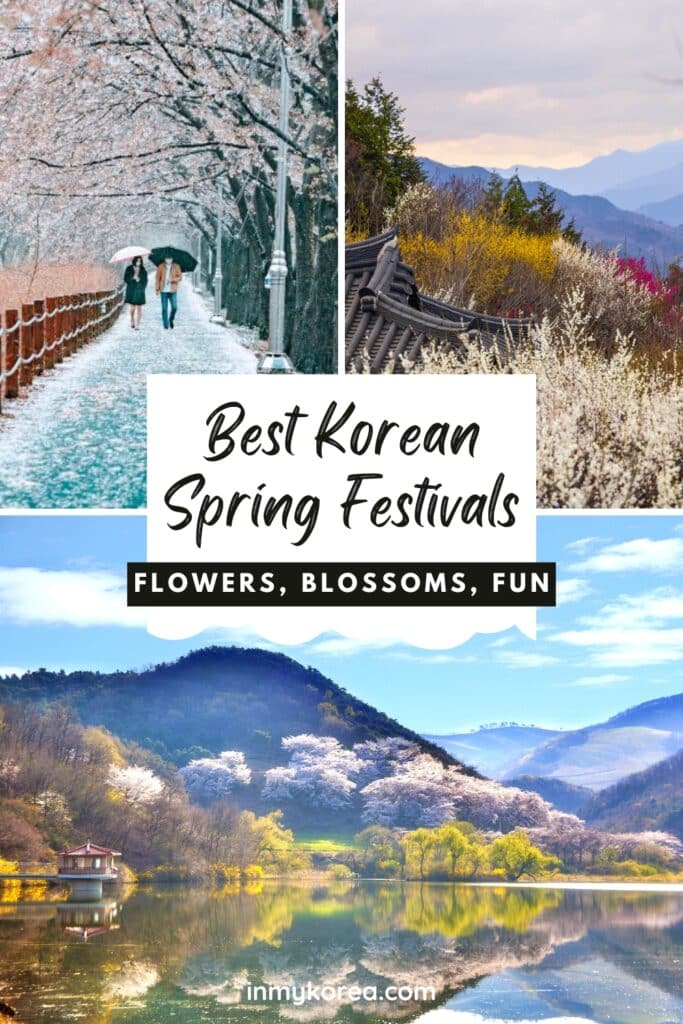 Best Korean Spring Festivals 2024: Nature, Culture, Blossoms 45 Best Korean Spring Festivals To Visit Pin 2