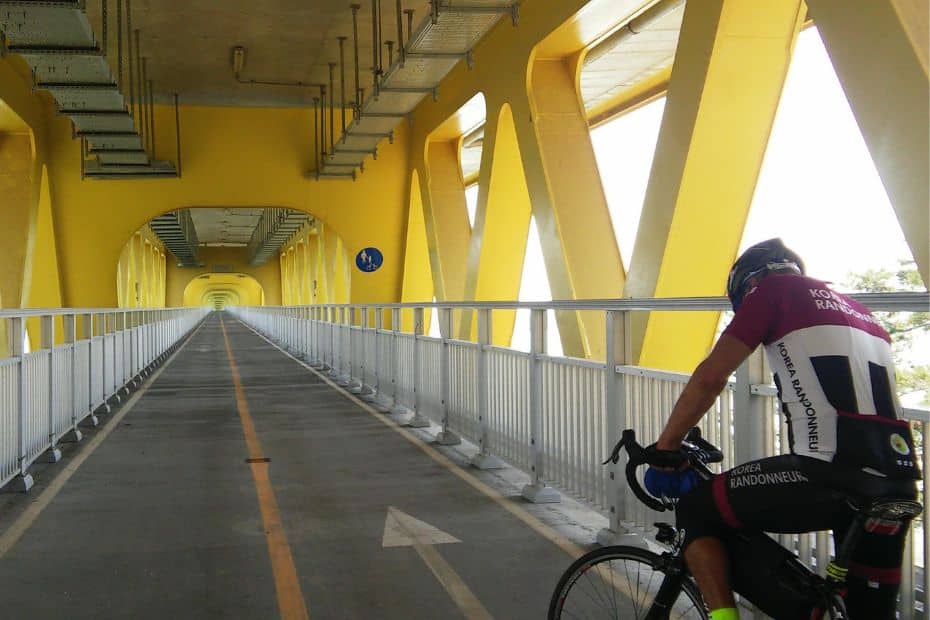 15 Best Places To Go Cycling In Korea: From Coast To Mountains 11 Bike only lane beneath a bridge in Goheung Korea