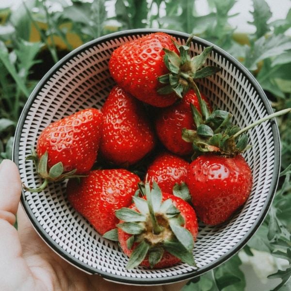 Bowl of red strawberries Bowl of red strawberries