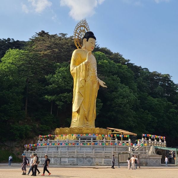 Do A Temple Stay In Korea For An Amazing Experience In 2024 14 Buddha Statue At Beopjusa Temple In Korea