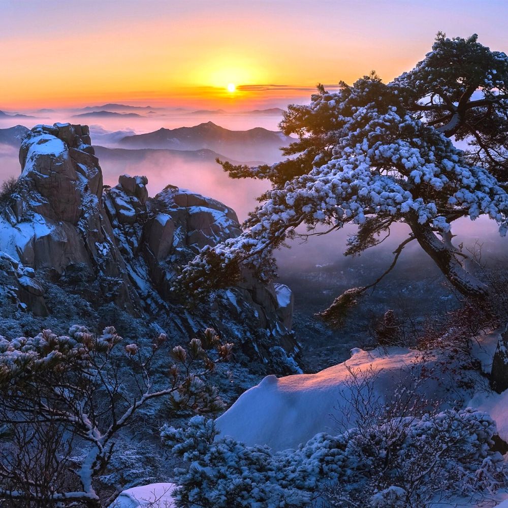 Where Does It Snow In Korea? Snow In Seoul And Korea 2024 12 Bukhansan National Park In Winter In Korea