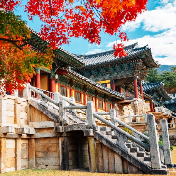 Complete South Korea Travel Guide 2024: Korean Travel Tips 60 Bulguksa Temple Gyeongju Historic City