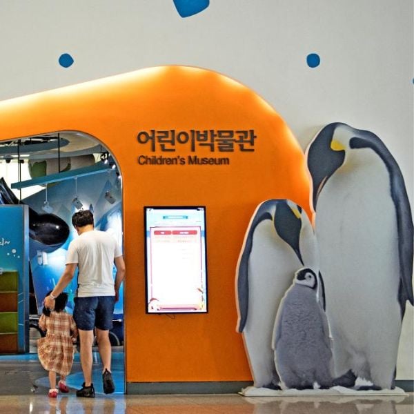 Busan Children's Museum Busan Children's Museum