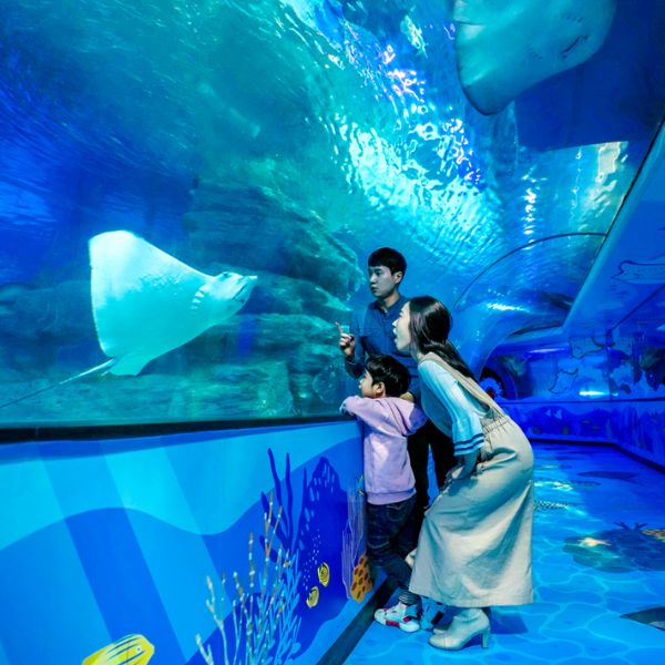 Busan Sea Life Centre Busan Sea Life Centre