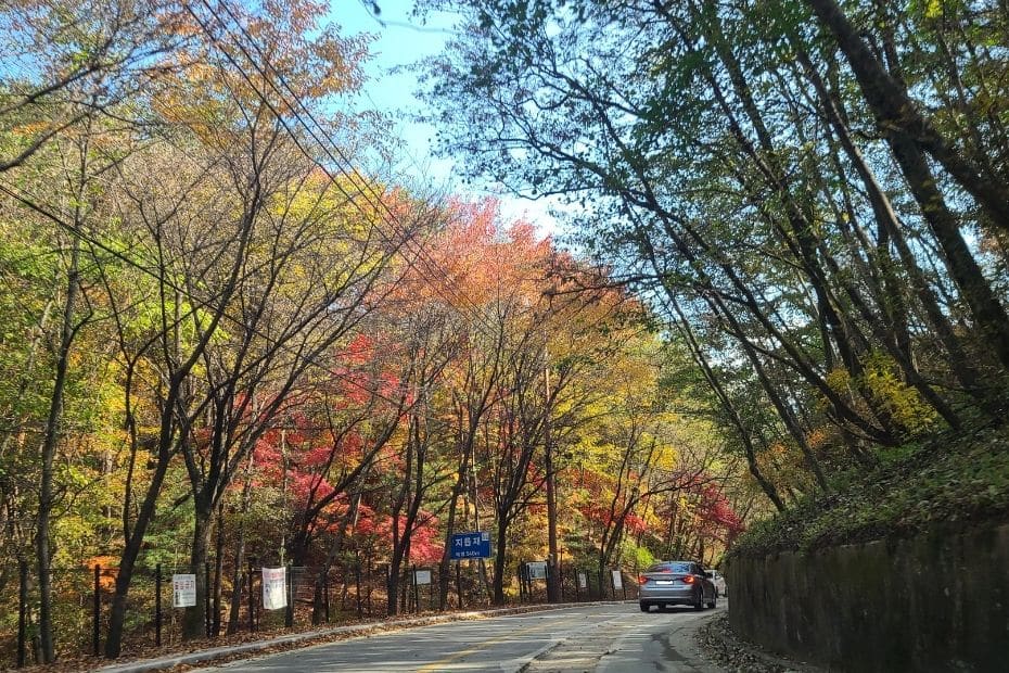 Hiking Seoraksan National Park And How To Get There 2024 11 Car driving on a road in Korea