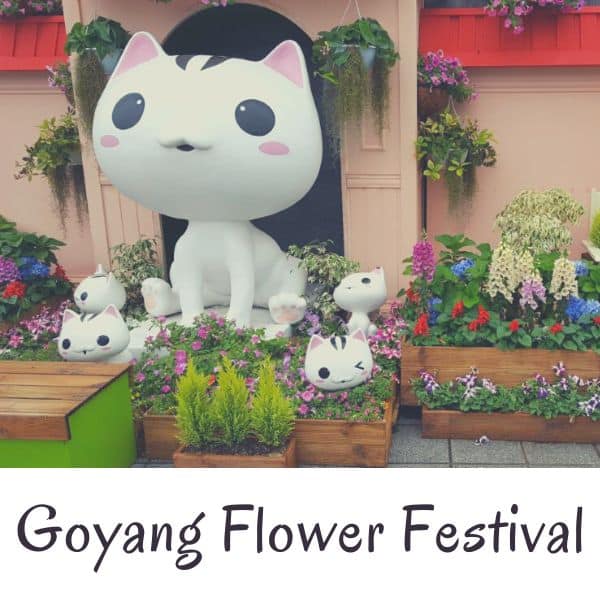 Complete South Korea Travel Guide 2024: Korean Travel Tips 107 Cat statues at Goyang Flower Festival