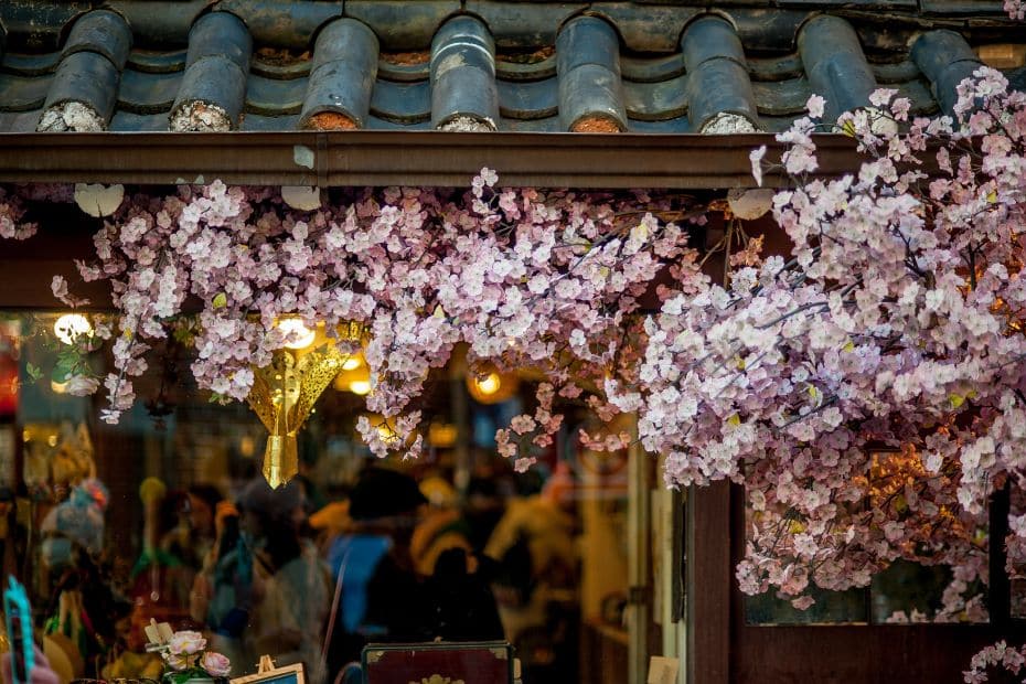 Where To See Cherry Blossoms In Korea 2024: Seoul And Beyond 7 Cherry blossoms with traditional building in Korea
