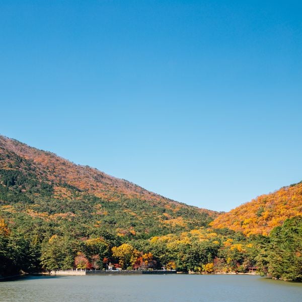 Children's Grand Park Busan in Autumn Children's Grand Park Busan in Autumn