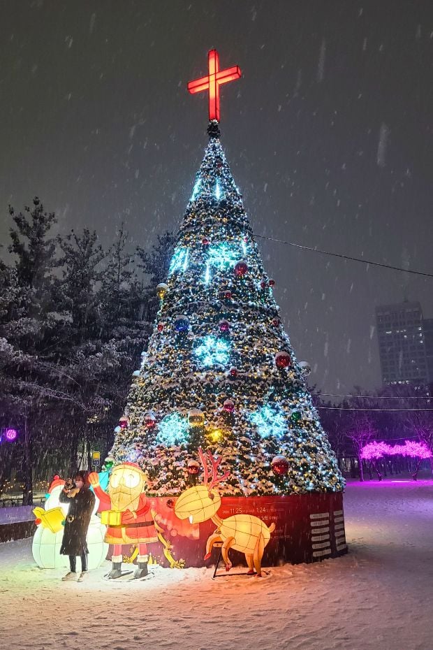 The Best Winter Festivals In Korea You Must Visit In 2024 12 Christmas Tree In Korea
