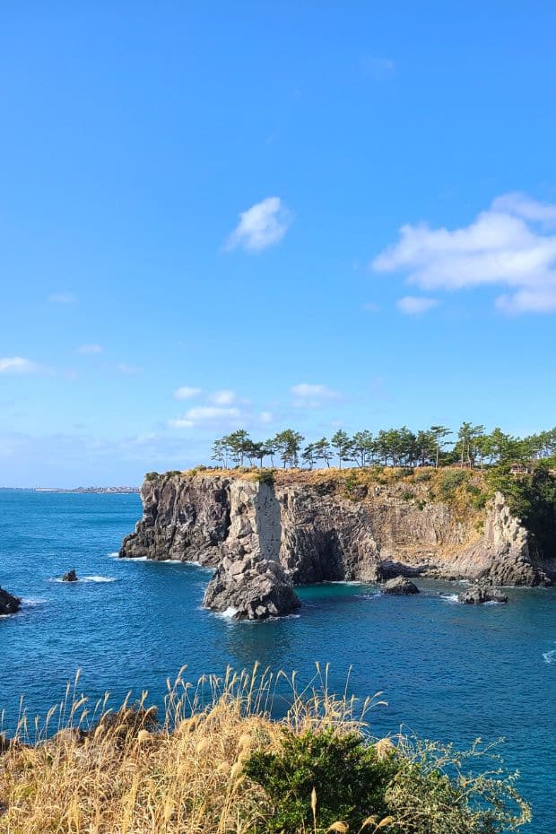 What To Do On Jeju Island In Winter: Jeju Winter Itinerary 2024 24 Coastal view on Jeju Island During Winter