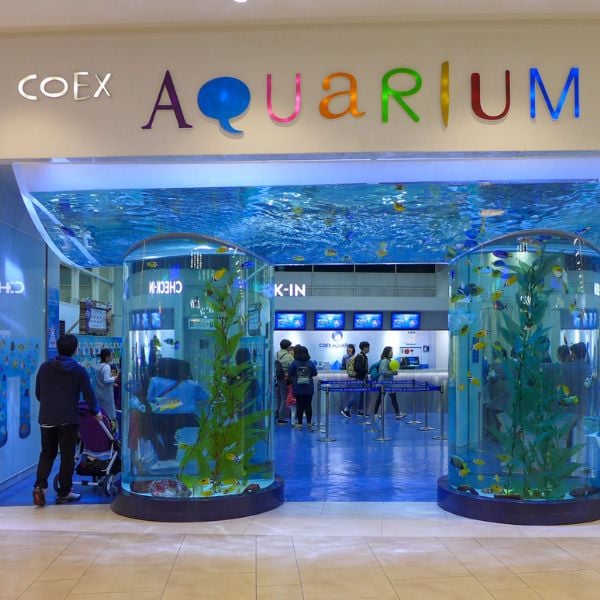 Coex Aquarium Seoul Coex Aquarium Seoul