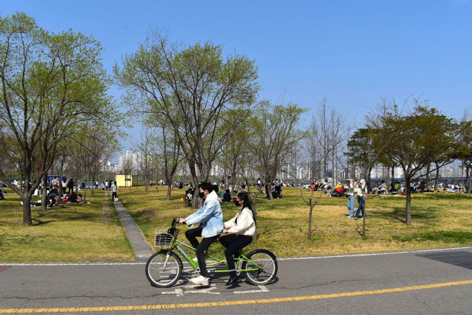 20 Cool Summer Activities In Korea: Korean Summer 2024 24 Couple on a rented bike in Seoul