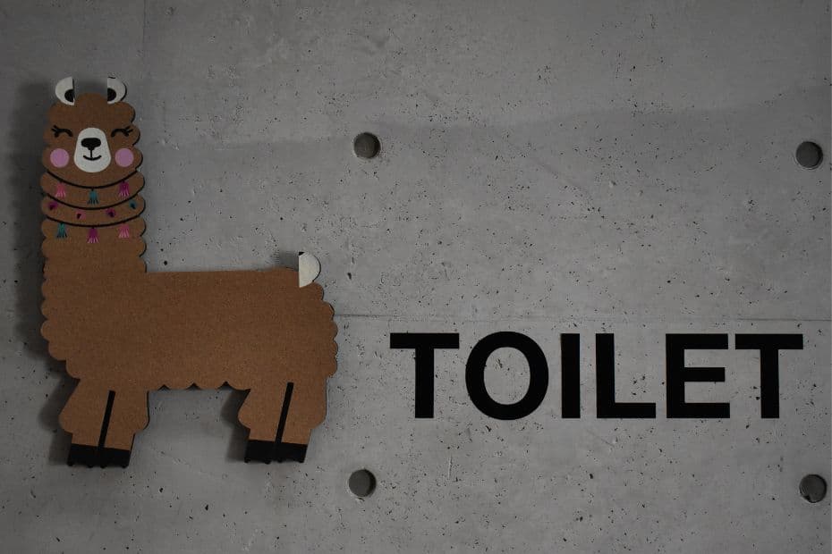 Korean Public Toilets: What Are Restrooms In Korea Like? 20 Cute toilet sign in Korea