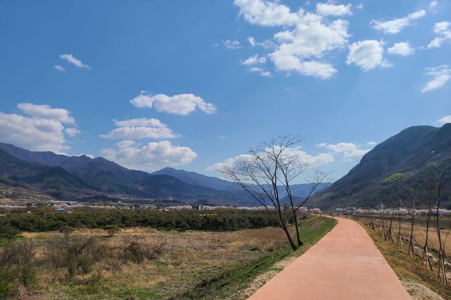 15 Best Places To Go Cycling In Korea: From Coast To Mountains 18 Cycle path with mountains in the background