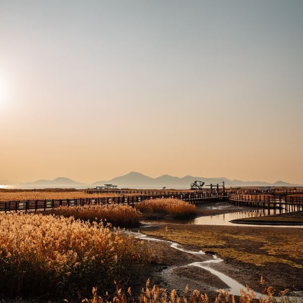 Dadaepo Sunset Busan in Autumn Dadaepo Sunset Busan in Autumn