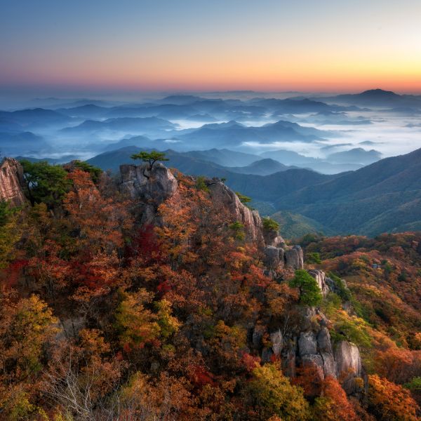 Daedunsan Provincial Park Autumn Foliage Korea Daedunsan Provincial Park Autumn Foliage Korea