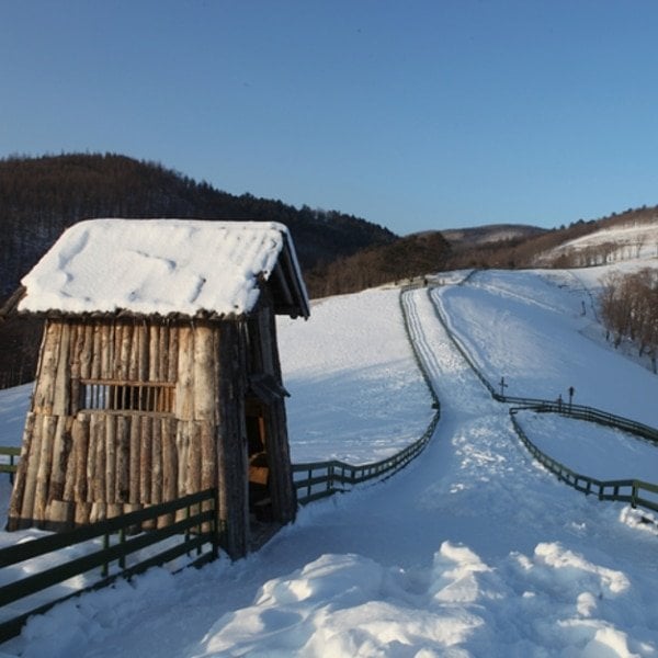 Daegwallyeong Sheep Farm in Winter Daegwallyeong Sheep Farm in Winter