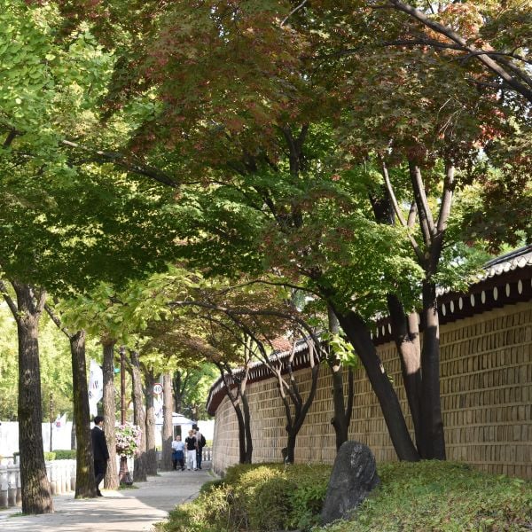 30 Best Free Things To Do In Seoul: Cheap Fun In Seoul 2024 10 Deoksugung Stone Wall Walkway