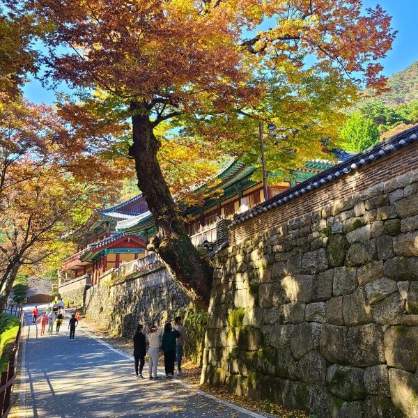 10 Best National Parks In Korea To Visit For Beautiful Views 19 Donghaksa Temple in Gyeryongsan National Park