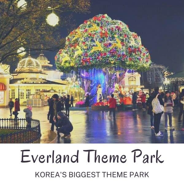 Complete South Korea Travel Guide 2024: Korean Travel Tips 77 Everland Theme Park in Korea