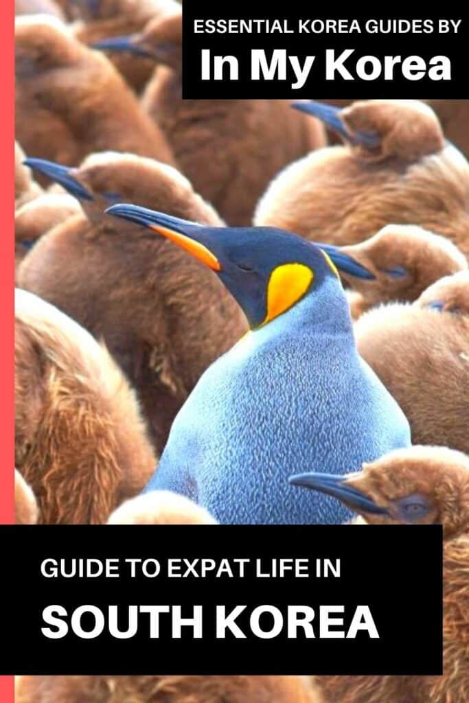 Expat Life In Korea: A Guide To Living In Korea As An Expat 28 Expat Life In Korea: A Guide To Living In Korea As An Expat Pin 3