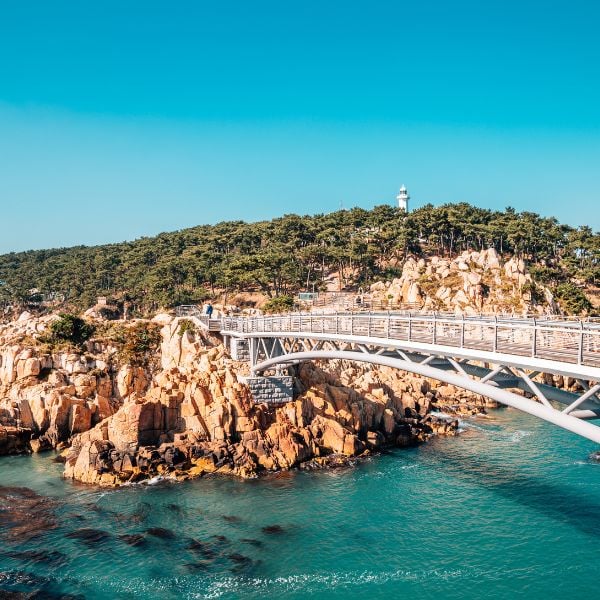 Complete South Korea Travel Guide 2024: Korean Travel Tips 66 Famous bridge in Ulsan Korea